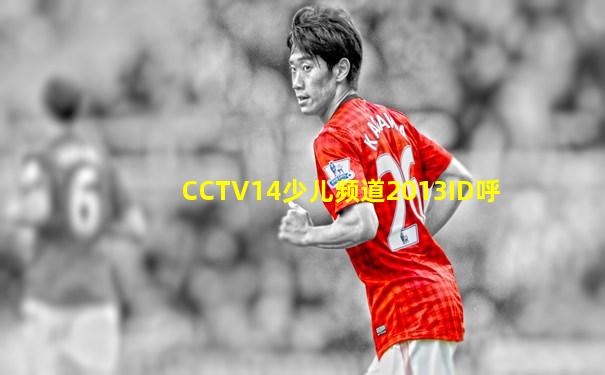 CCTV14少儿频道2013ID呼