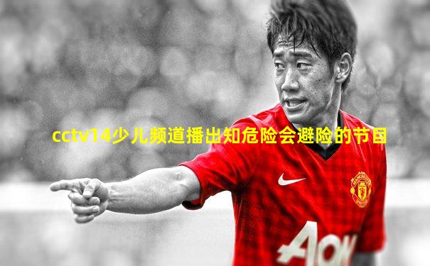 cctv14少儿频道播出知危险会避险的节目