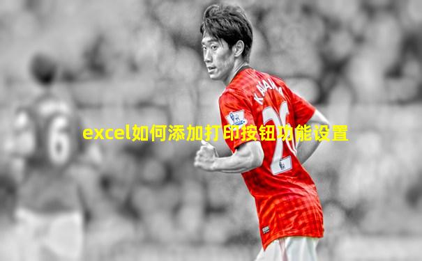 excel如何添加打印按钮功能设置