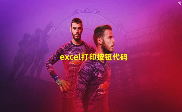 excel打印按钮代码