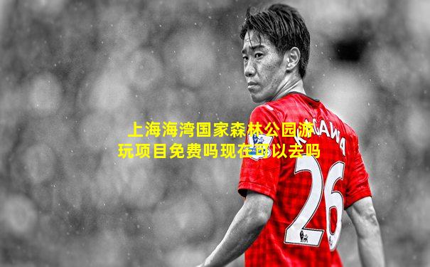上海海湾国家森林公园游玩项目免费吗现在可以去吗