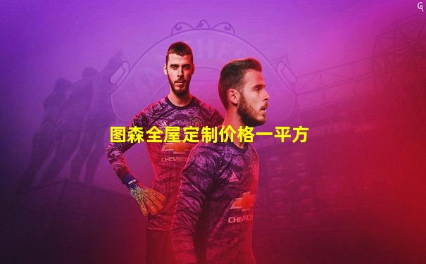 图森全屋定制价格一平方