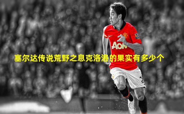 塞尔达传说荒野之息克洛洛的果实有多少个