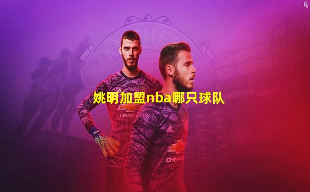 姚明加盟nba哪只球队
