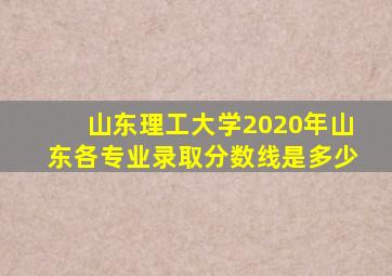 山东理工大学2020年山东各专业录取分数线是多少