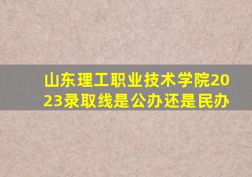 山东理工职业技术学院2023录取线是公办还是民办