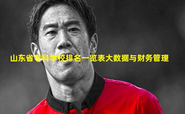 山东省专科学校排名一览表大数据与财务管理