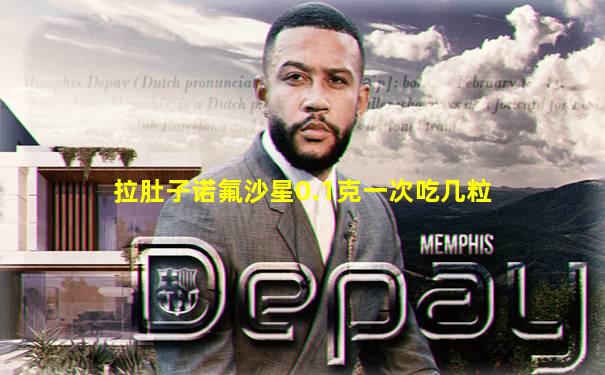 拉肚子诺氟沙星0.1克一次吃几粒