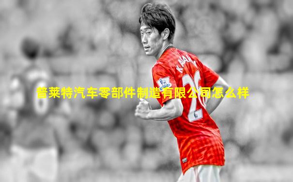 普莱特汽车零部件制造有限公司怎么样