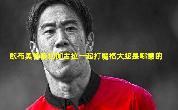 欧布奥特曼和伽古拉一起打魔格大蛇是哪集的