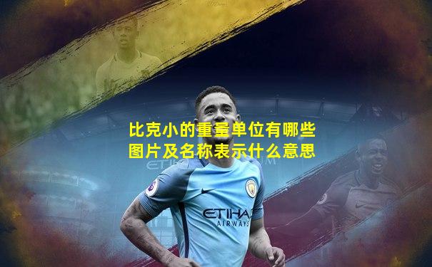 比克小的重量单位有哪些图片及名称表示什么意思