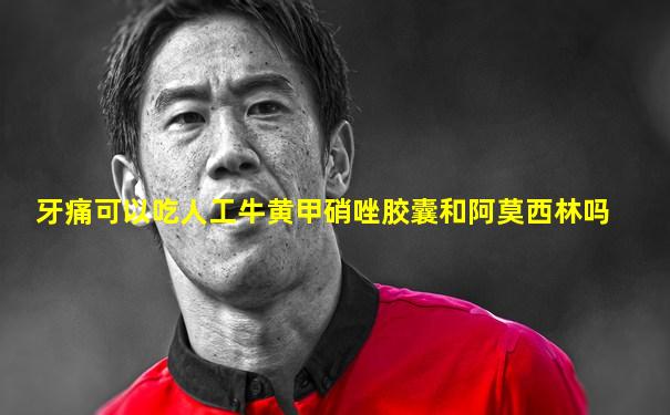 牙痛可以吃人工牛黄甲硝唑胶囊和阿莫西林吗