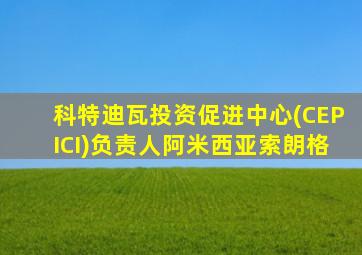 科特迪瓦投资促进中心(CEPICI)负责人阿米西亚索朗格