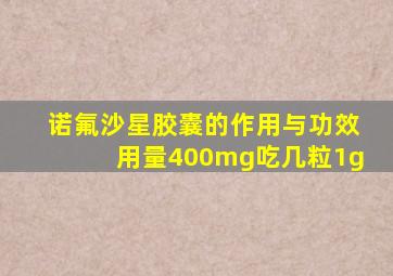 诺氟沙星胶囊的作用与功效用量400mg吃几粒1g