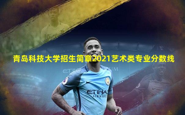 青岛科技大学招生简章2021艺术类专业分数线