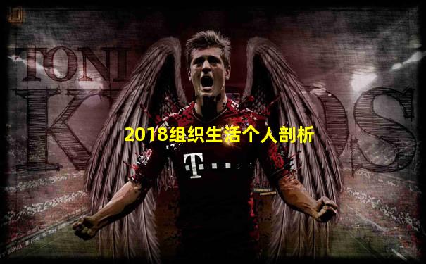 2018组织生活个人剖析