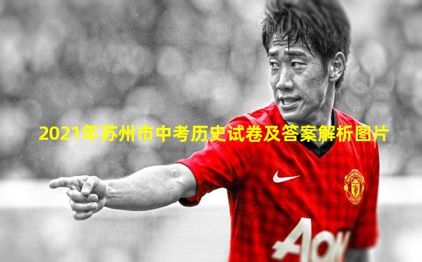 2021年苏州市中考历史试卷及答案解析图片