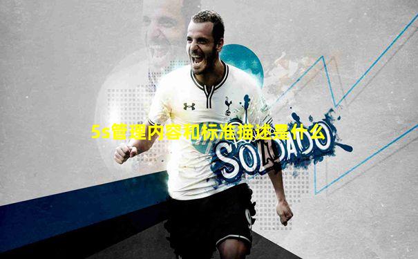 5s管理内容和标准描述是什么