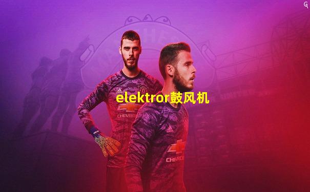 elektror鼓风机