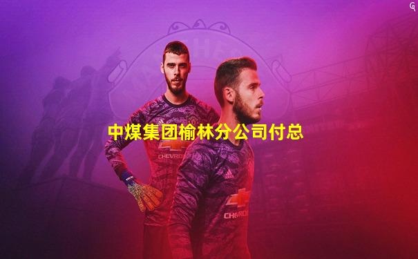 中煤集团榆林分公司付总