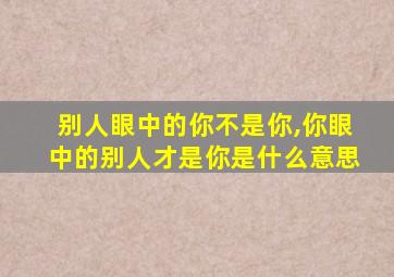 别人眼中的你不是你,你眼中的别人才是你是什么意思