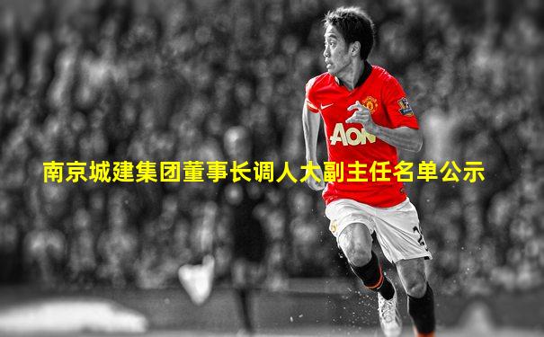南京城建集团董事长调人大副主任名单公示