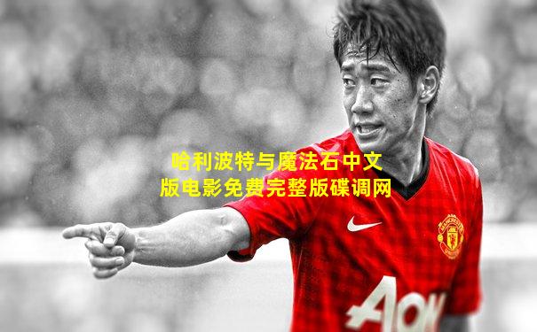 哈利波特与魔法石中文版电影免费完整版碟调网