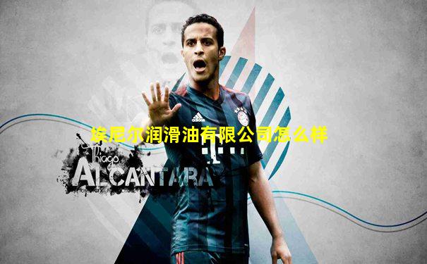 埃尼尔润滑油有限公司怎么样