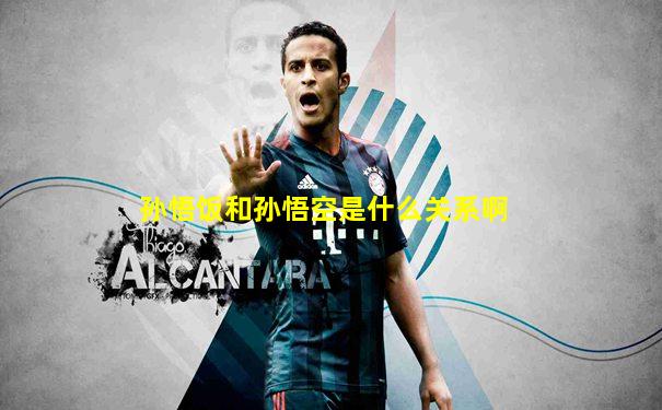 孙悟饭和孙悟空是什么关系啊