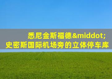 悉尼金斯福德·史密斯国际机场旁的立体停车库