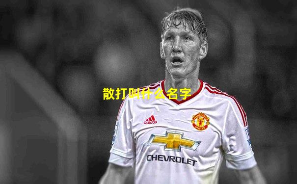散打叫什么名字