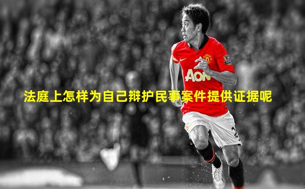 法庭上怎样为自己辩护民事案件提供证据呢