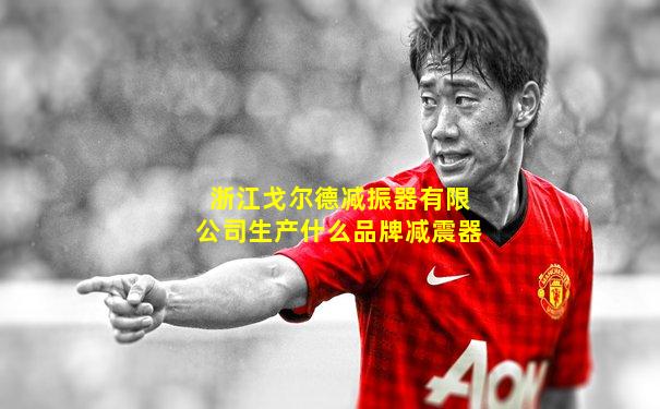 浙江戈尔德减振器有限公司生产什么品牌减震器