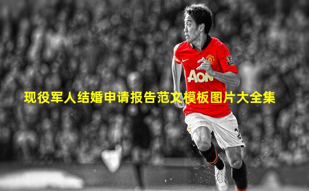 现役军人结婚申请报告范文模板图片大全集