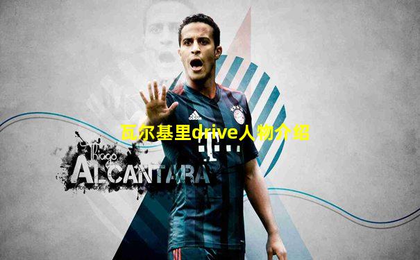 瓦尔基里drive人物介绍