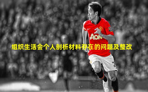组织生活会个人剖析材料存在的问题及整改